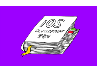 Blog = How to Develop an iOS App — A Step By Step Guide For Beginners